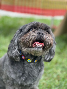 Quincy