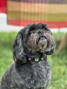 Quincy